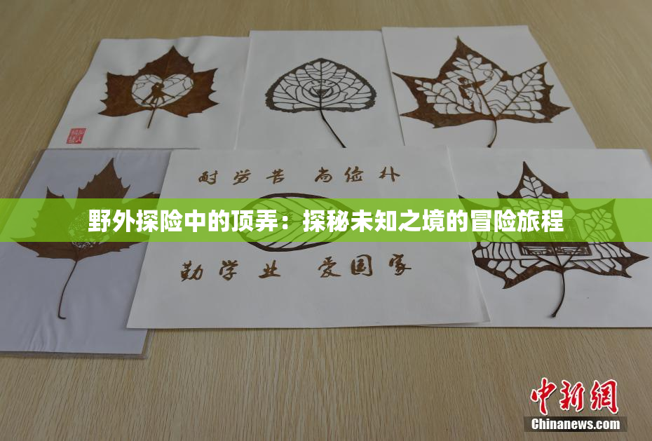 野外探险中的顶弄：探秘未知之境的冒险旅程