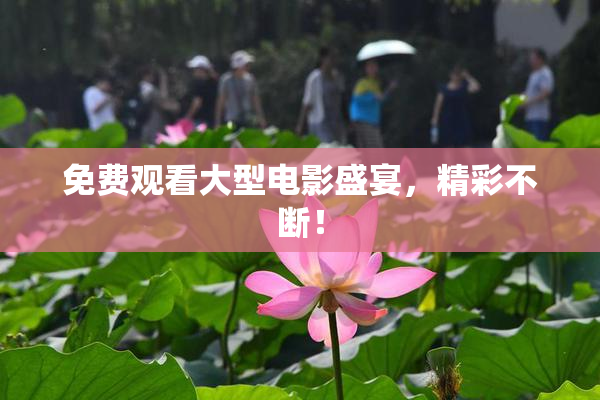 免费观看大型电影盛宴，精彩不断！