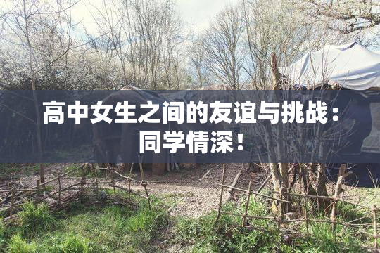 高中女生之间的友谊与挑战：同学情深！