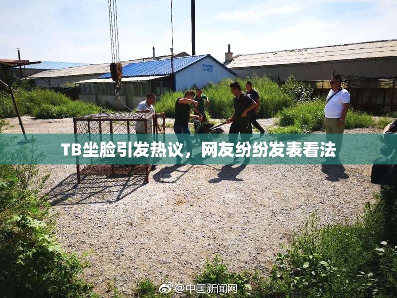 TB坐脸引发热议，网友纷纷发表看法