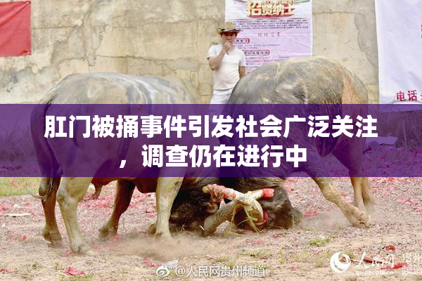肛门被捅事件引发社会广泛关注，调查仍在进行中