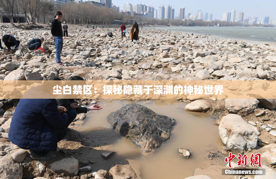 尘白禁区：探秘隐藏于深渊的神秘世界