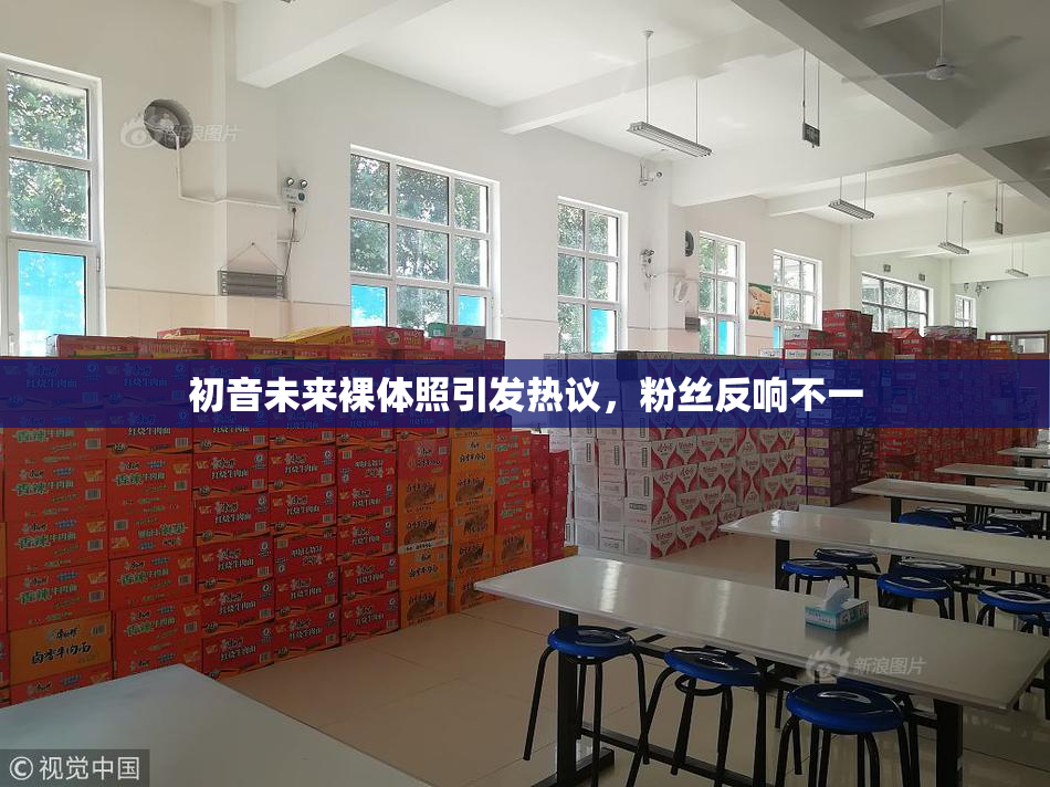 初音未来裸体照引发热议，粉丝反响不一