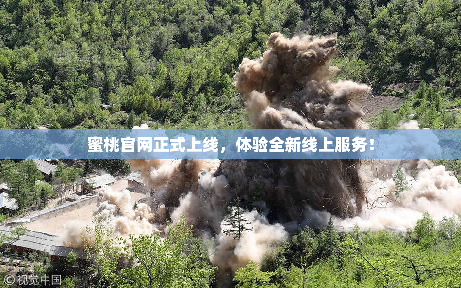 蜜桃官网正式上线，体验全新线上服务！