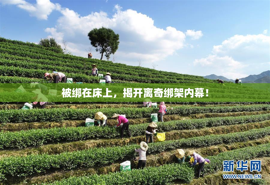 被绑在床上，揭开离奇绑架内幕！