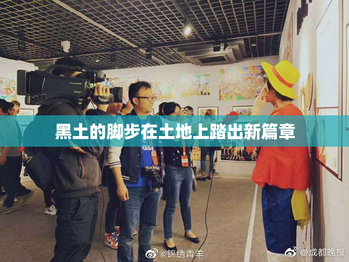 黑土的脚步在土地上踏出新篇章