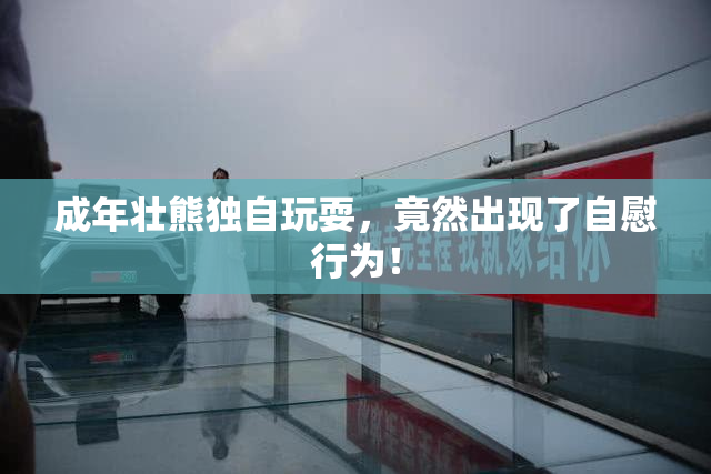 成年壮熊独自玩耍，竟然出现了自慰行为！