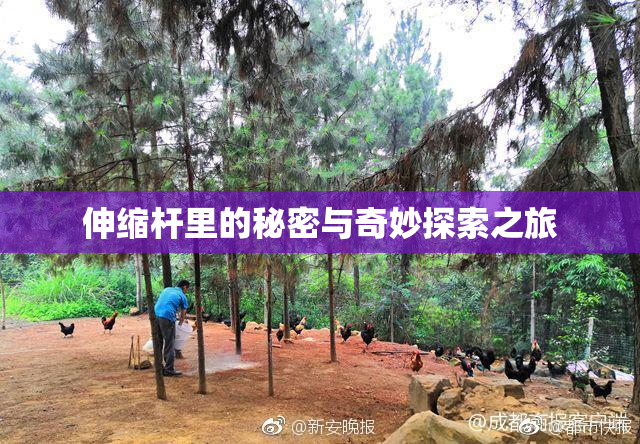 伸缩杆里的秘密与奇妙探索之旅