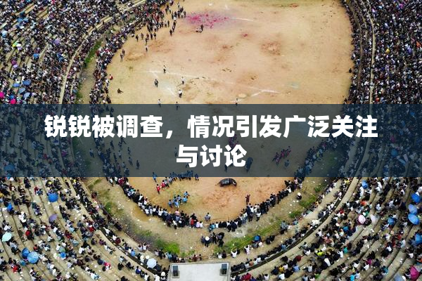锐锐被调查，情况引发广泛关注与讨论