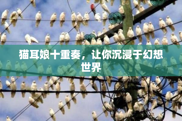 猫耳娘十重奏，让你沉浸于幻想世界