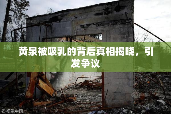 黄泉被吸乳的背后真相揭晓，引发争议