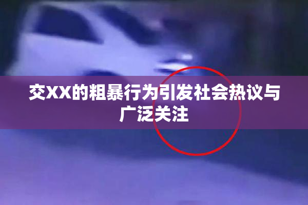 交XX的粗暴行为引发社会热议与广泛关注