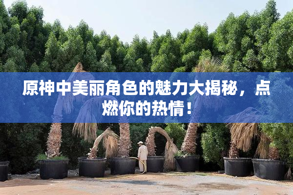 原神中美丽角色的魅力大揭秘，点燃你的热情！