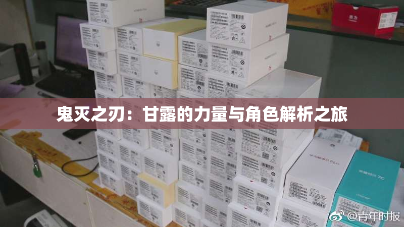 鬼灭之刃：甘露的力量与角色解析之旅
