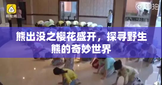 熊出没之樱花盛开，探寻野生熊的奇妙世界