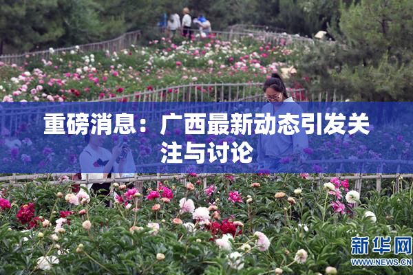 重磅消息：广西最新动态引发关注与讨论