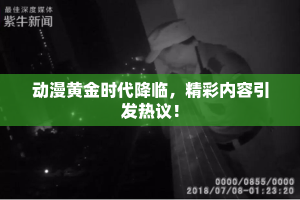 动漫黄金时代降临，精彩内容引发热议！