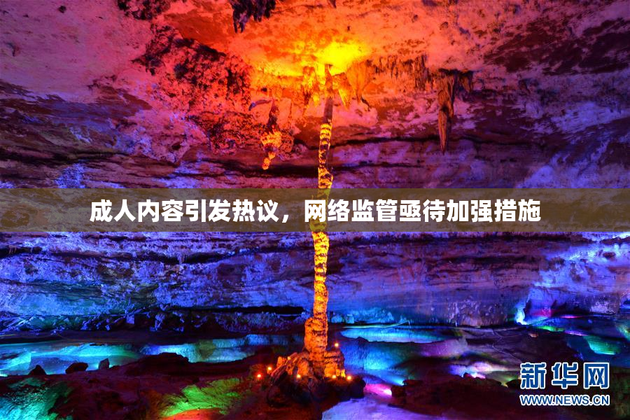 成人内容引发热议，网络监管亟待加强措施