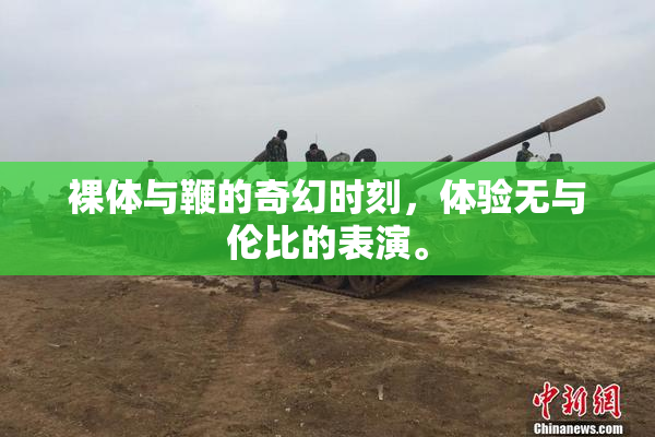 裸体与鞭的奇幻时刻，体验无与伦比的表演。