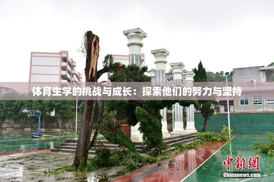 体育生学的挑战与成长：探索他们的努力与坚持