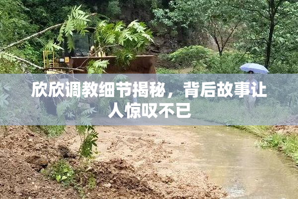 欣欣调教细节揭秘，背后故事让人惊叹不已