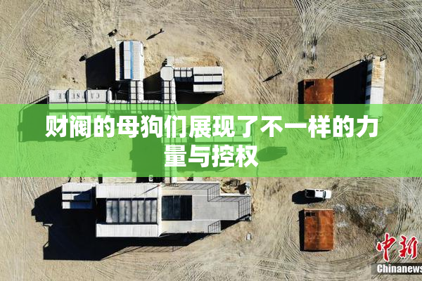财阀的母狗们展现了不一样的力量与控权