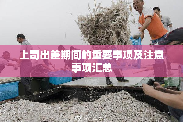 上司出差期间的重要事项及注意事项汇总