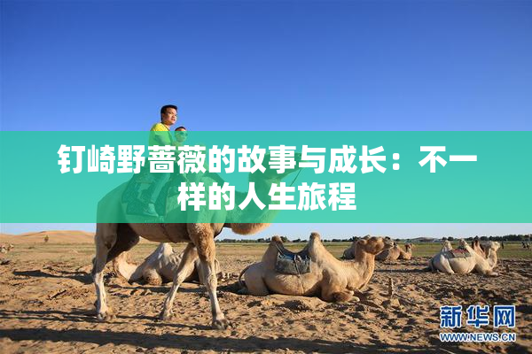 钉崎野蔷薇的故事与成长：不一样的人生旅程