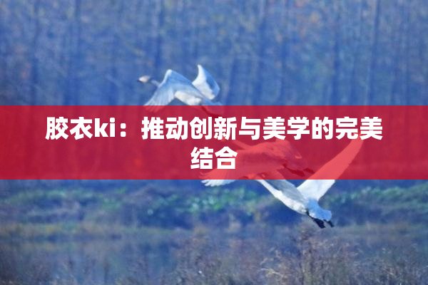 胶衣ki：推动创新与美学的完美结合