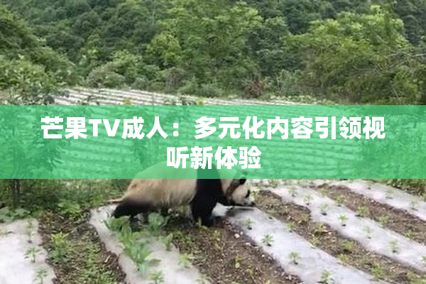 芒果TV成人：多元化内容引领视听新体验