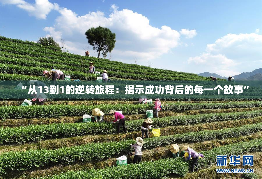 “从13到1的逆转旅程：揭示成功背后的每一个故事”