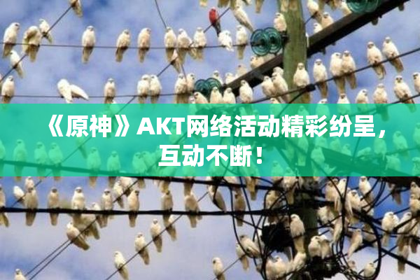 《原神》AKT网络活动精彩纷呈，互动不断！