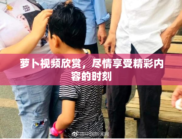 萝卜视频欣赏，尽情享受精彩内容的时刻