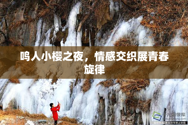 鸣人小樱之夜，情感交织展青春旋律