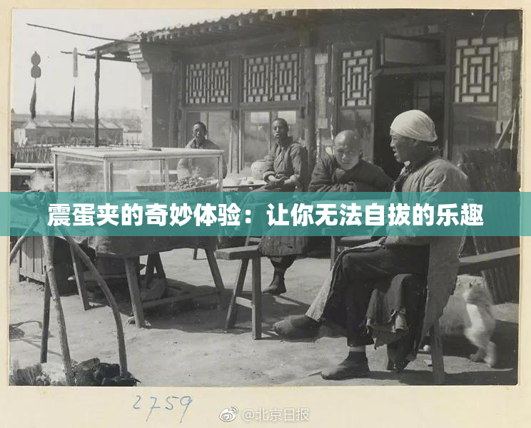 震蛋夹的奇妙体验：让你无法自拔的乐趣