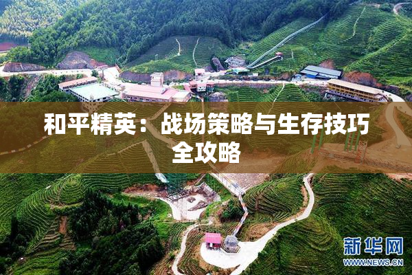 和平精英：战场策略与生存技巧全攻略