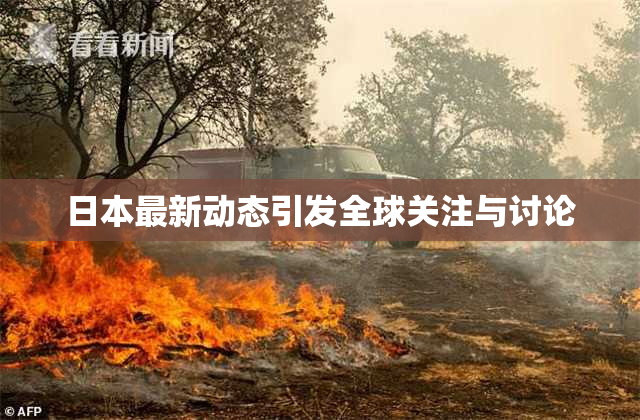 日本最新动态引发全球关注与讨论