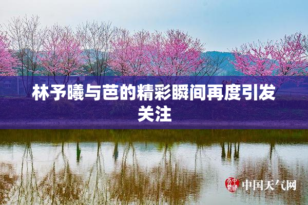 林予曦与芭的精彩瞬间再度引发关注