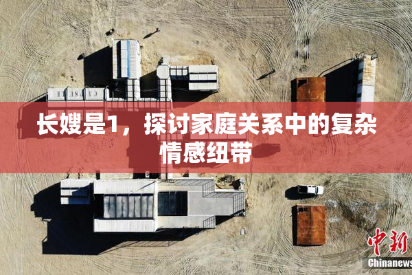 长嫂是1，探讨家庭关系中的复杂情感纽带
