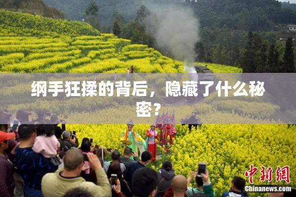 纲手狂揉的背后，隐藏了什么秘密？