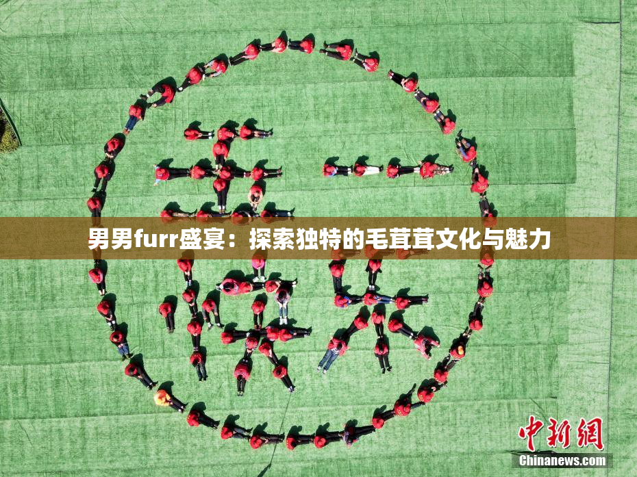 男男furr盛宴：探索独特的毛茸茸文化与魅力