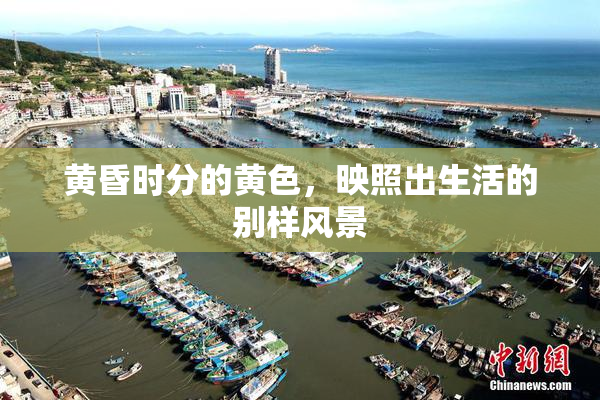 黄昏时分的黄色，映照出生活的别样风景