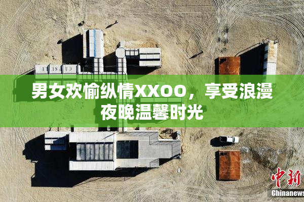 男女欢愉纵情XXOO，享受浪漫夜晚温馨时光