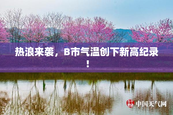 热浪来袭，B市气温创下新高纪录！