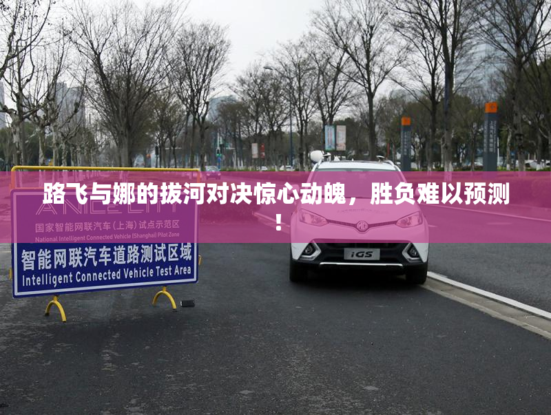 路飞与娜的拔河对决惊心动魄，胜负难以预测！