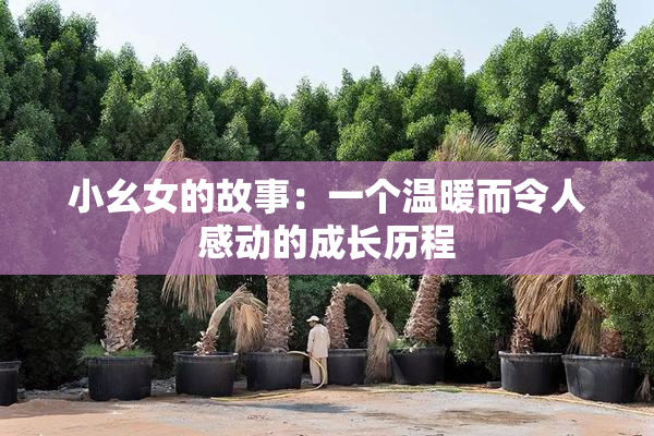 小幺女的故事：一个温暖而令人感动的成长历程