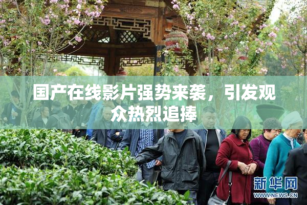 国产在线影片强势来袭，引发观众热烈追捧