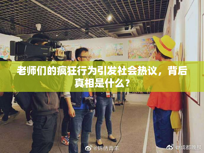 老师们的疯狂行为引发社会热议，背后真相是什么？