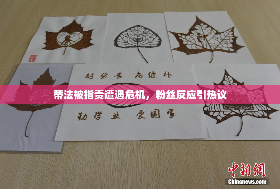 蒂法被指责遭遇危机，粉丝反应引热议