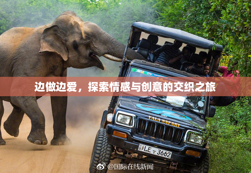 边做边爱，探索情感与创意的交织之旅